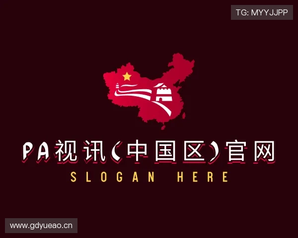 认识PA视讯中国